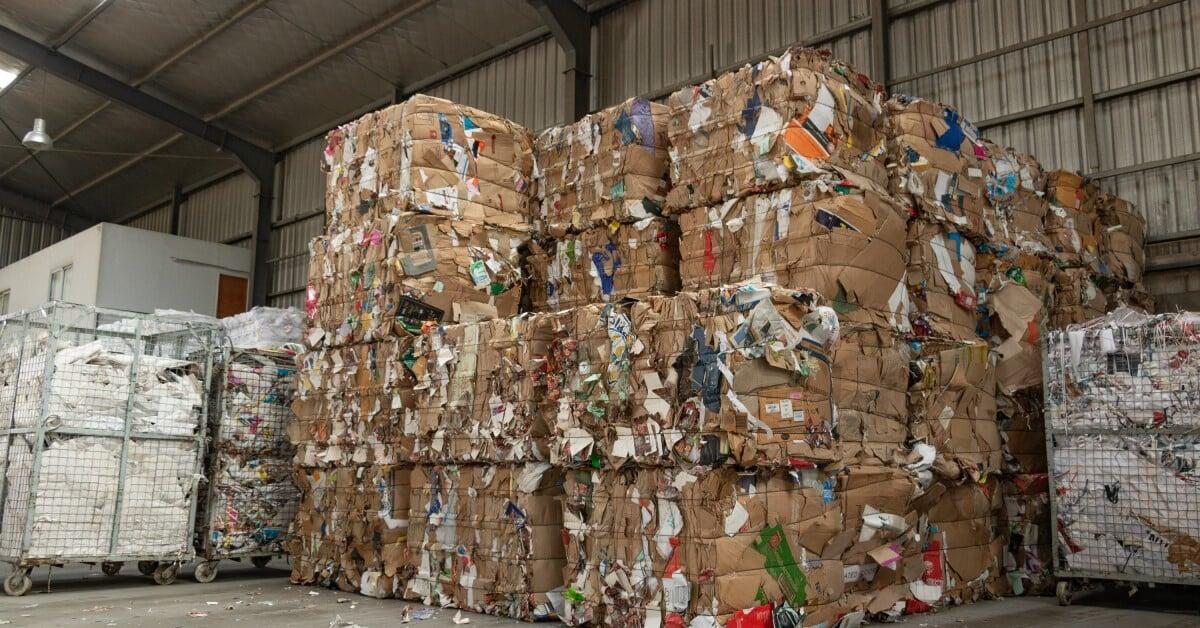 Large stacks of compressed paper and cardboard bales inside an industrial shed with a concrete floor.