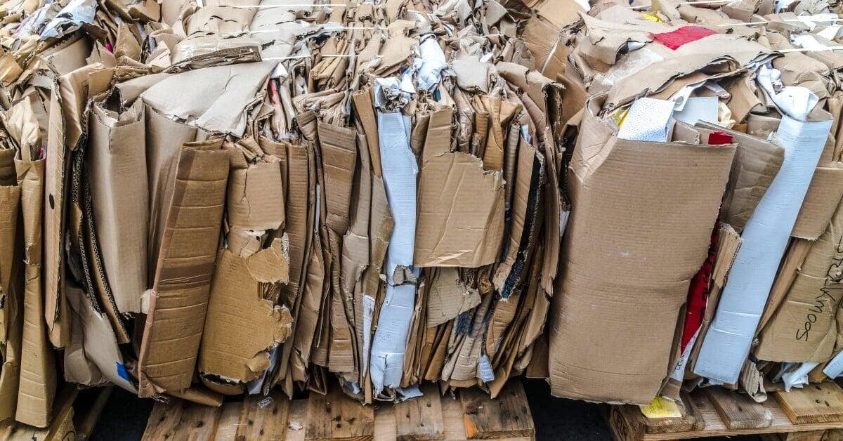 Close-up of a row of bales of compressed cardboard tied with wire or twine. Each bale is on top of a wooden pallet.